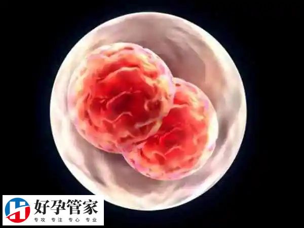 鲜胚移植适用人群有哪些