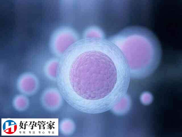 移植36天雌二醇数值1700正不正常