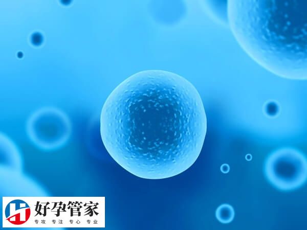 微促排方案卵子质量好不好